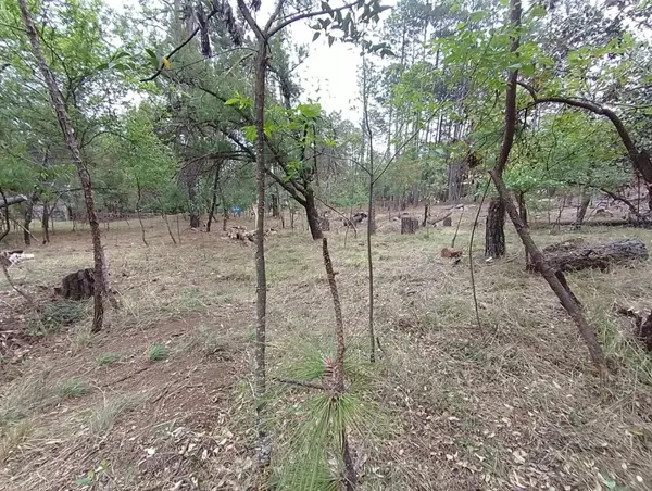 Terreno en Venta Quinta Andrea Huasca