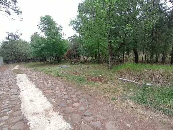 Terreno en venta en Bermúdez, Huasca de Ocampo — foto 2 de 9