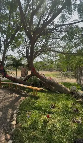 JARDIN EN RENTA EN CHIAPAS, TUXTLA GUITIERREZ
