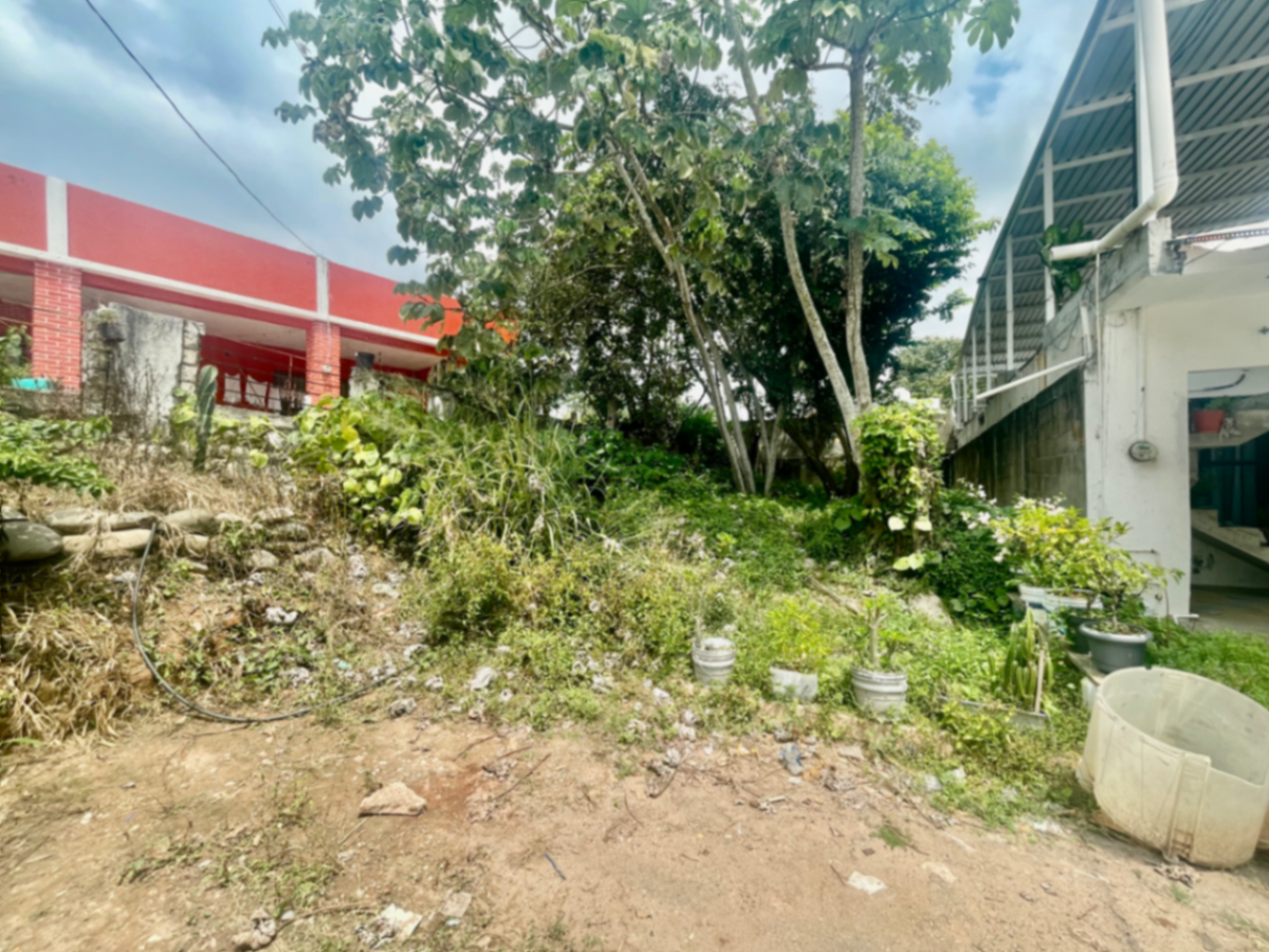 Terreno en venta en Parrilla, Centro — foto 1 de 9