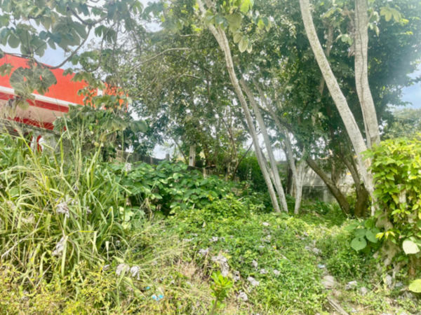 Terreno en venta en Parrilla, Centro — foto 2 de 9