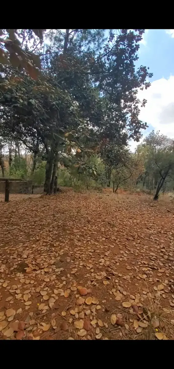 Terreno en venta en Bermúdez, Huasca de Ocampo — foto 1 de 10
