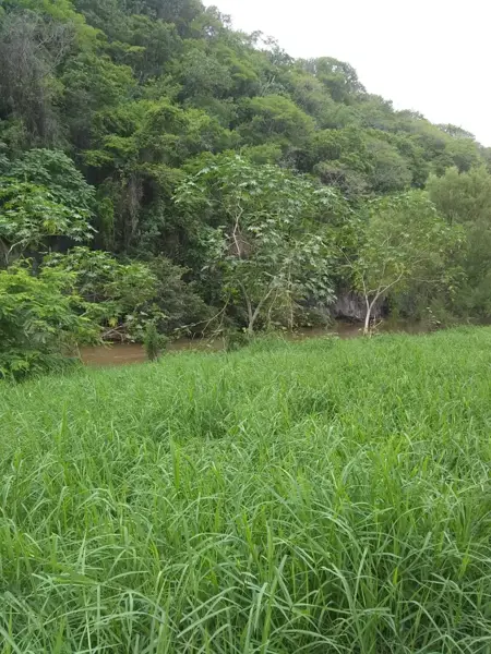 Terreno en venta en Palmarejo, Emiliano Zapata — foto 2 de 7