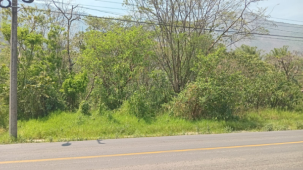 Terreno en venta en Tlilapan, Tlilapan — foto 2 de 18