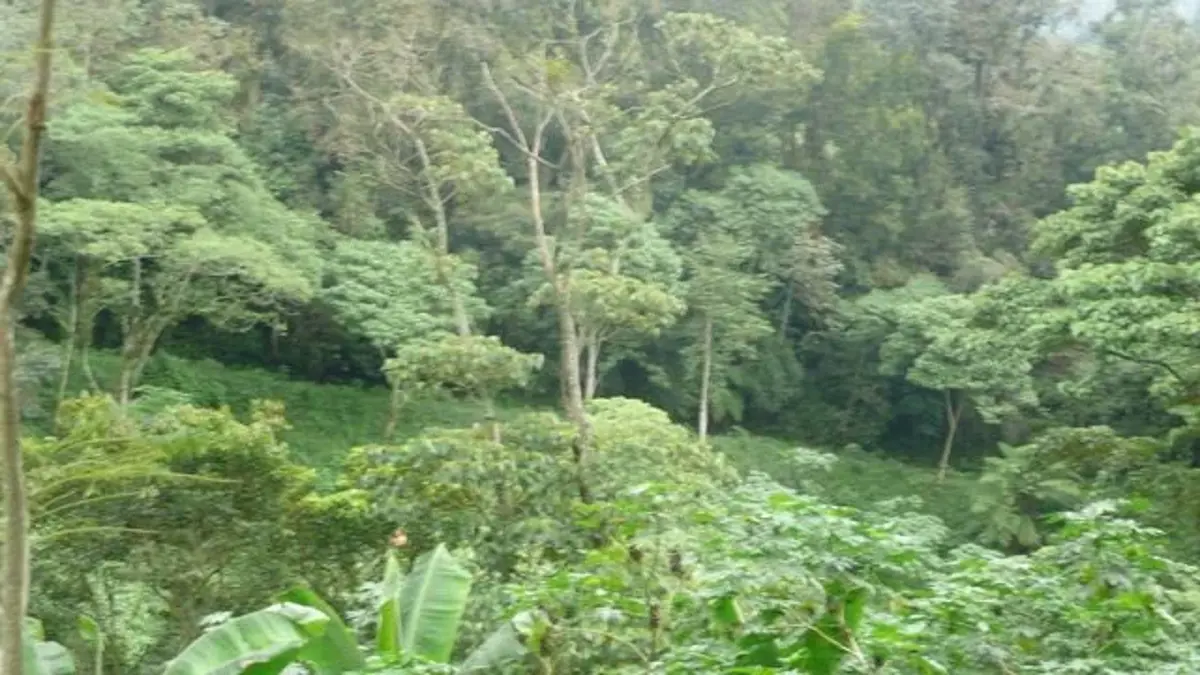 Finca-Rancho en venta en Cinco Palos, Coatepec — foto 1 de 10