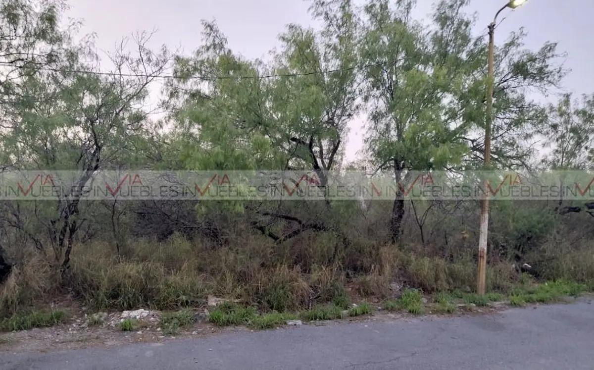 Terreno en renta en Cienega de Flores Centro, Ciénega de Flores — foto 1 de 9