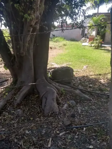 Terreno en venta en Acapatzingo, Cuernavaca — foto 2 de 8