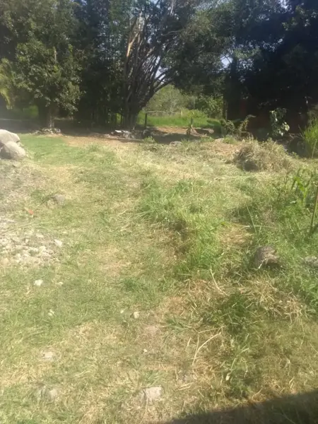 Terreno en Venta en Ejidos de Acapatzingo Cuernavaca Morelos — foto 1 de 8