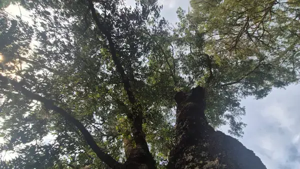 Terreno en venta en Bermúdez, Huasca de Ocampo — foto 2 de 10