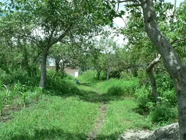 Terreno en venta en 13 de Septiembre, Yautepec — foto 2 de 3