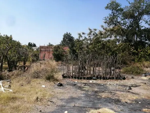 Terreno en venta en Leandro Valle, Jonacatepec de Leandro Valle — foto 3 de 18