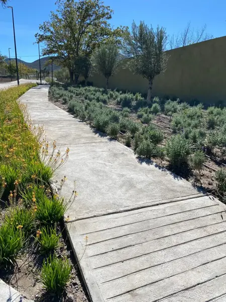 Terreno en Venta en Tacubaya, Parras, Coahuila de Zaragoza 5