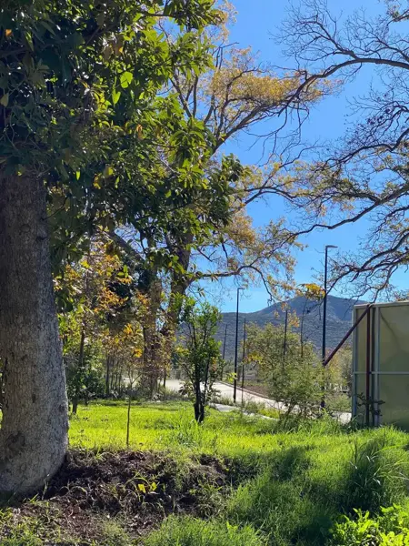 Terreno en Venta en Tacubaya, Parras, Coahuila de Zaragoza 4