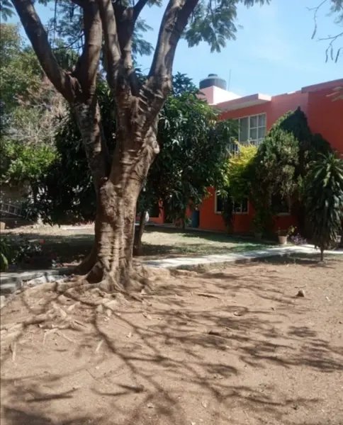 Casa en venta en Ocotepec, Cuernavaca — foto 3 de 19