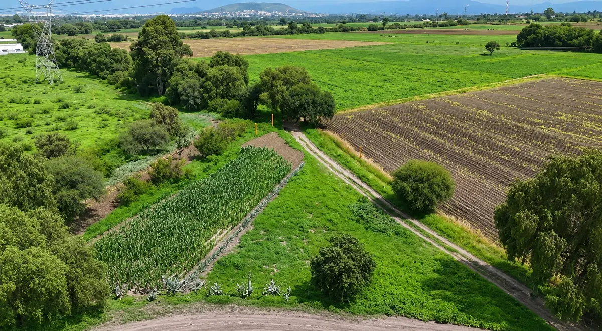 Terreno en venta en El Sauz Alto, Pedro Escobedo — foto 1 de 9