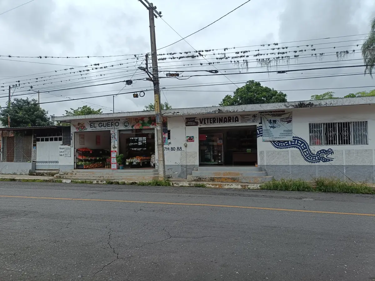 Casa en venta en Fortín de las Flores Centro, Fortín — foto 1 de 5