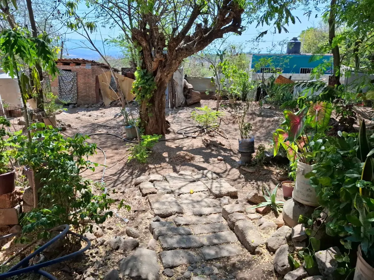 Terreno en venta en Loma Florida, Puente de Ixtla — foto 1 de 10