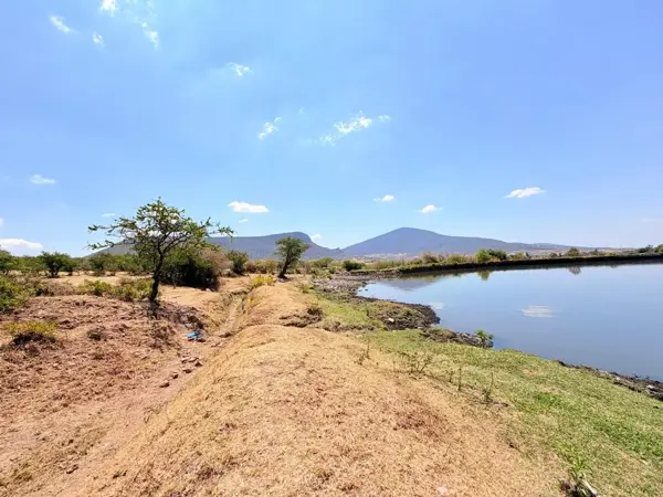 TERRENO EN VENTA EN ATLIXCO PUEBLA
