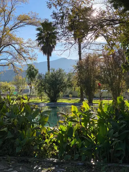 Local en Venta en Tacubaya, Parras, Coahuila de Zaragoza 5