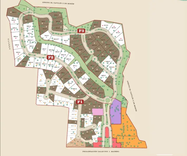Terreno en Venta en Tacubaya, Parras, Coahuila de Zaragoza 2
