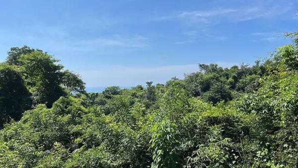 Terreno en venta en Playa Diamante, Acapulco de Juárez — foto 2 de 11