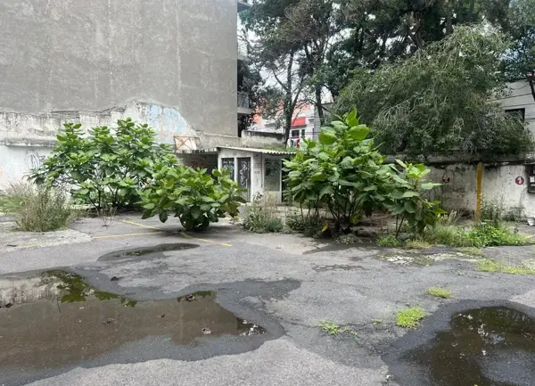 Terreno en renta en Nochebuena, Benito Juárez — foto 2 de 7