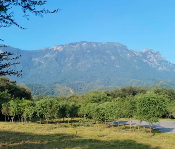 Terreno en venta en La Cáscara, Montemorelos — foto 2 de 7
