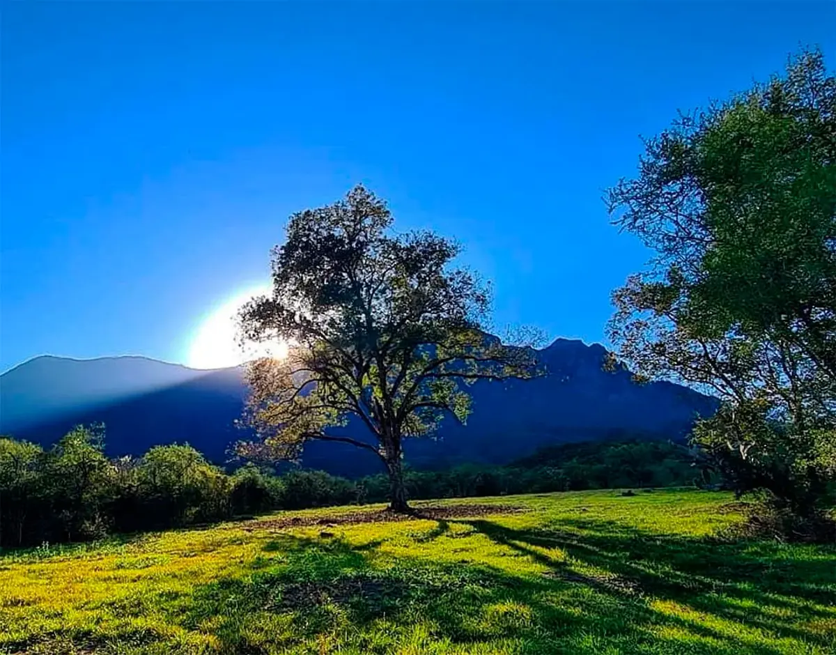 Terreno en venta en La Cáscara, Montemorelos — foto 1 de 7