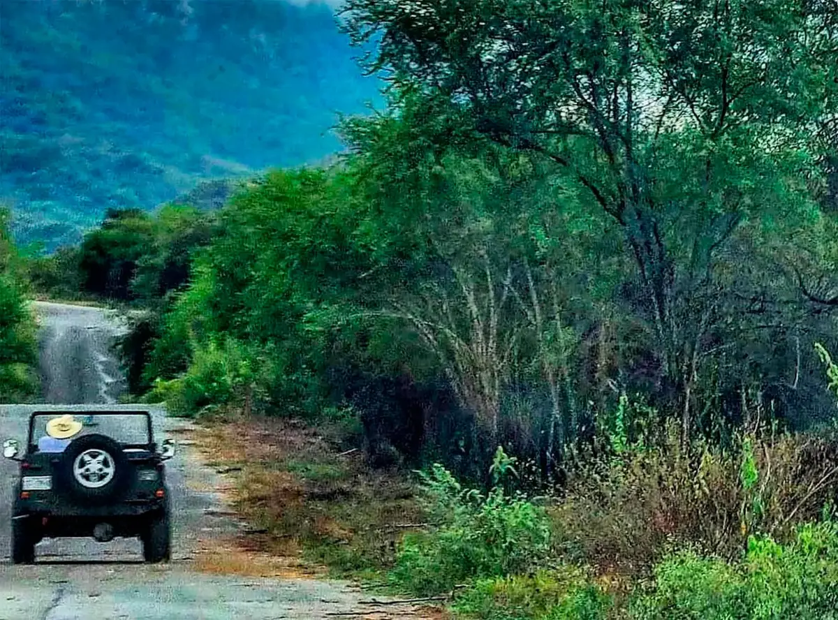 Vista 5 de EXCLUSIVOS TERRENOS CAMPESTRES