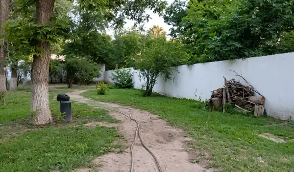 Terreno en venta en Parras de la Fuente Centro, Parras — foto 2 de 7