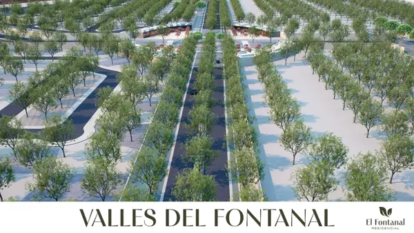 Terreno en venta en Santa Fe, Torreón — foto 2 de 20