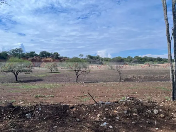 Terreno en venta en El Pastor, Montemorelos — foto 3 de 8