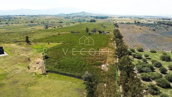 Terreno en venta en Cajititlan, Tlajomulco de Zúñiga — foto 2 de 15