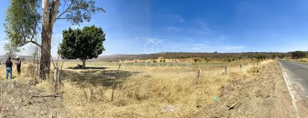 TERRENO EN VENTA EN BARRANCA DE HUENTITÁN, ZAPOTLANEJO