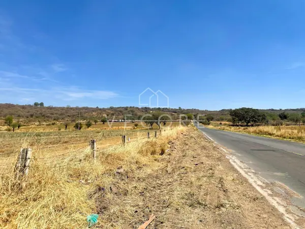 Terreno en venta en Matatlan, Zapotlanejo — foto 2 de 11