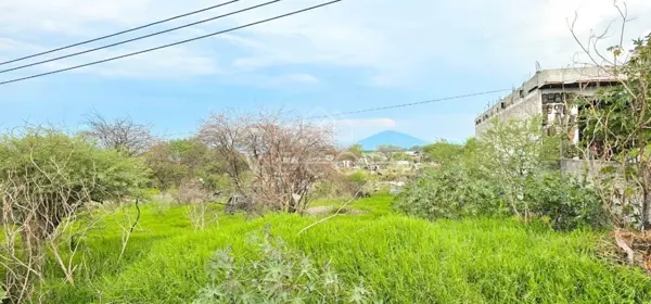 Terreno en venta en Jardines de Sahuayo, Sahuayo — foto 3 de 8