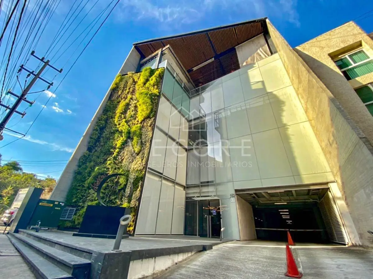 Oficina en renta en Colomos Providencia, Guadalajara — foto 1 de 7