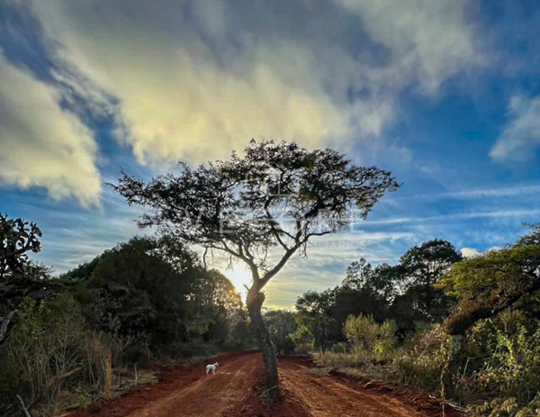 Terreno en venta en Atemajac de Brizuela, Atemajac de Brizuela — foto 3 de 9