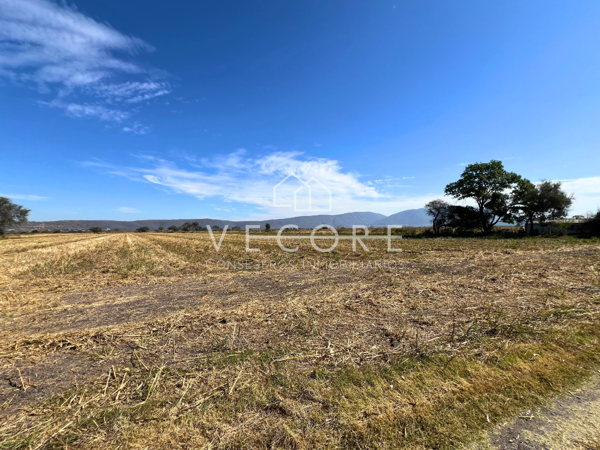 Terreno en venta en Atequiza Estacion, Ixtlahuacán de los Membrillos — foto 3 de 12