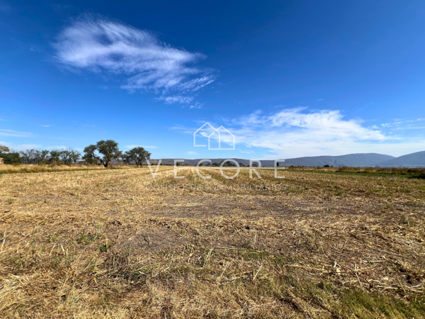 Terreno en venta en Atequiza Estacion, Ixtlahuacán de los Membrillos — foto 2 de 12