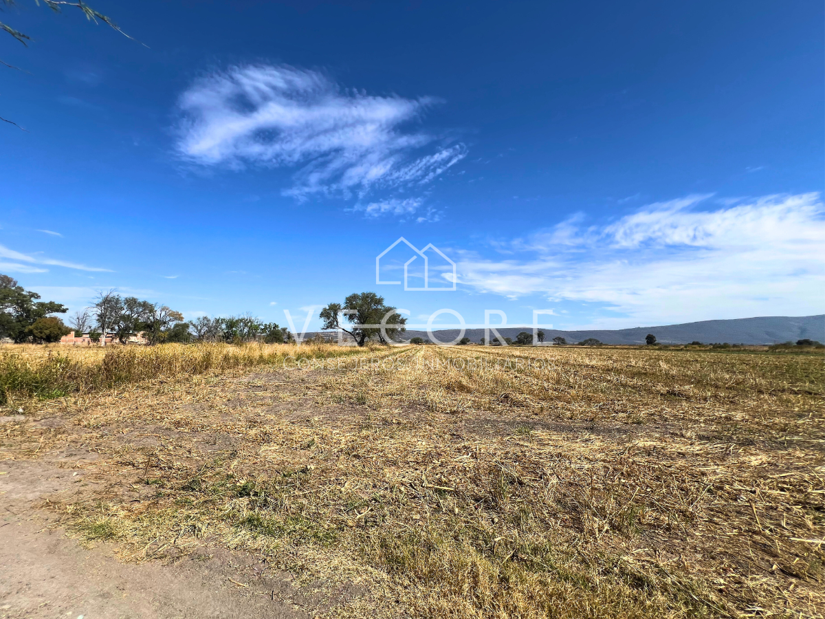 Terreno en venta en Atequiza Estacion, Ixtlahuacán de los Membrillos — foto 1 de 12