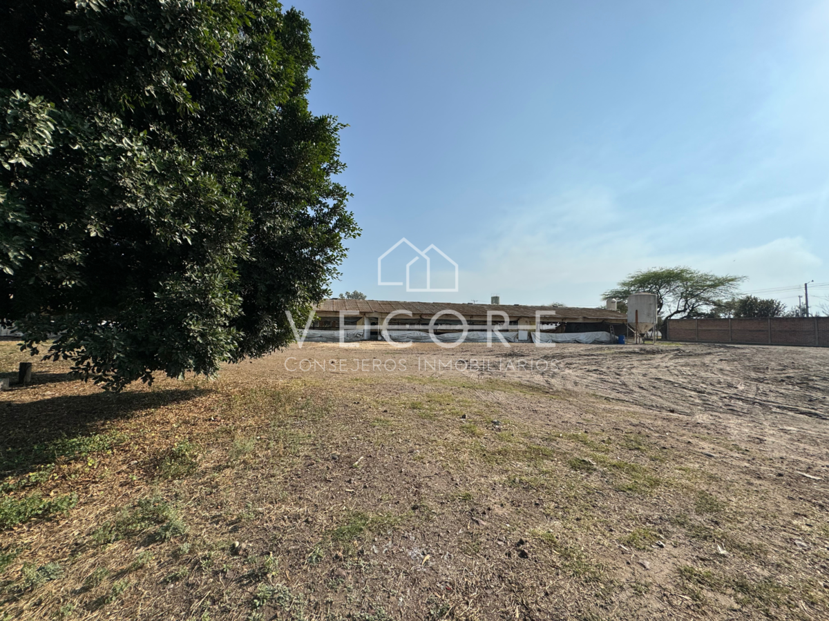 Terreno en venta en Los Laureles, Tlajomulco de Zúñiga — foto 1 de 11