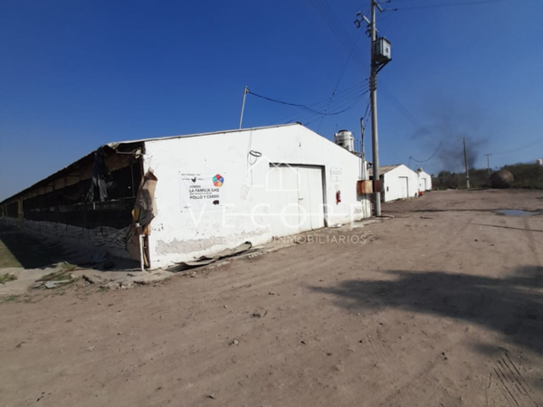 Terreno en venta en Rancho el Zapote, Tlajomulco de Zúñiga — foto 2 de 7