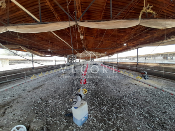 Terreno en venta en Rancho el Zapote, Tlajomulco de Zúñiga — foto 3 de 7