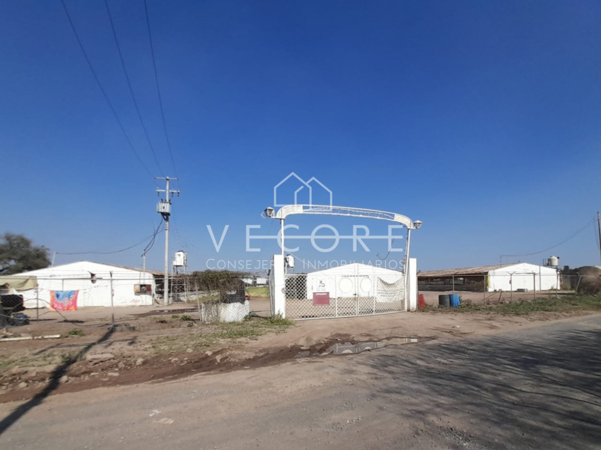 Terreno en venta en Rancho el Zapote, Tlajomulco de Zúñiga — foto 1 de 7
