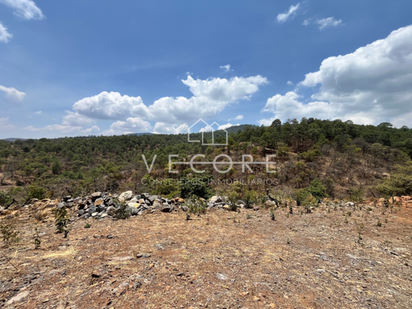 Terreno en venta en Mazamitla, Mazamitla — foto 2 de 28