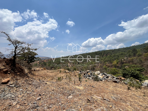 Terreno en venta en Mazamitla, Mazamitla — foto 3 de 28