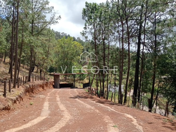 Terreno en venta en Mazamitla, Mazamitla — foto 2 de 13
