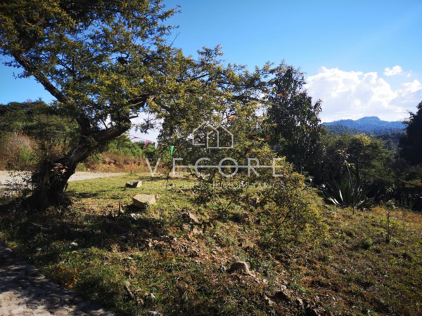 Terreno en venta en Tapalpa, Tapalpa — foto 3 de 7