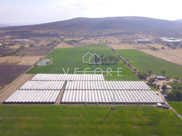 Terreno en venta en Ocotlan Centro, Ocotlán — foto 2 de 9